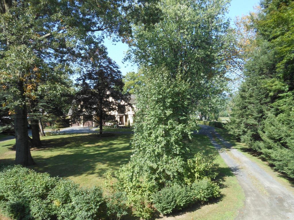 Апартаменты The Carriage House Loft Кингстон Экстерьер фото